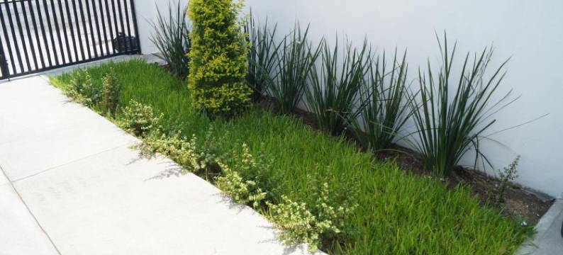 MV 套房酒店(MV Suites)图片