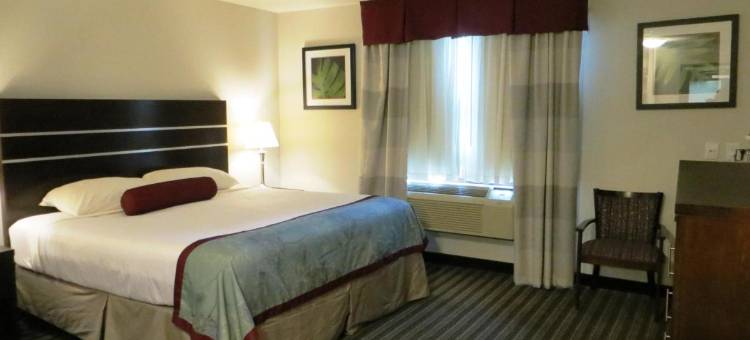 萨斯卡通近市中心温德姆速8酒店(Super 8 by Wyndham Saskatoon Near Downtown)图片