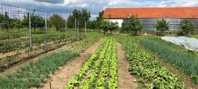 米尔林酒店(Hotel Mlyn)图片