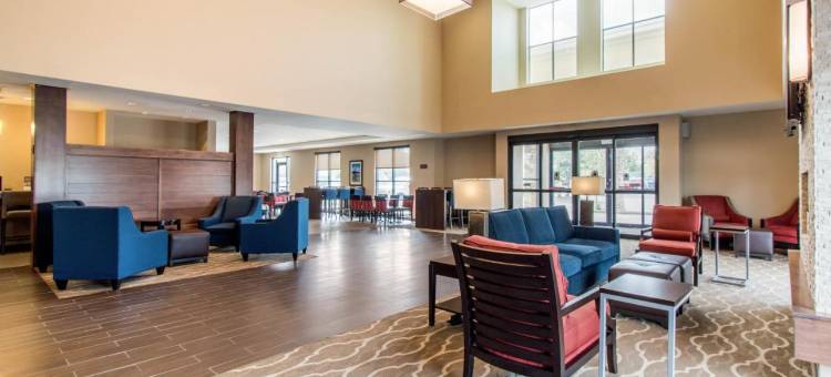 舒适套房酒店-近丹佛安舒茨医学院(Comfort Suites Denver Near Anschutz Medical Campus)图片