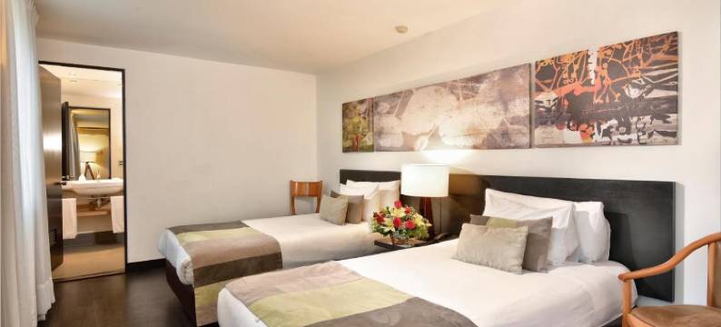 普罗维登斯欧洲电信酒店(Hotel Eurotel Providencia)图片