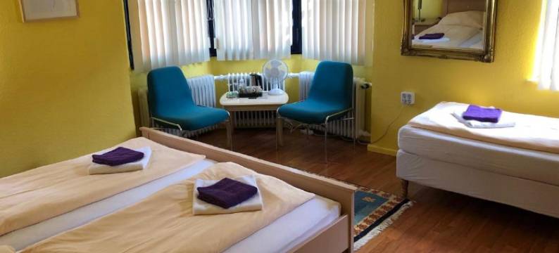 海恩巴阿斯托里亚酒店(Astoria Hotel Heimbach)图片