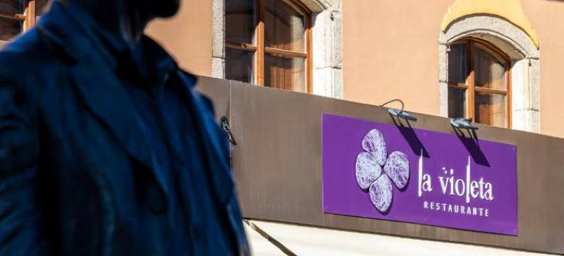 埃洛伊比耶索广场酒店(Hotel Aroi Bierzo Plaza)图片