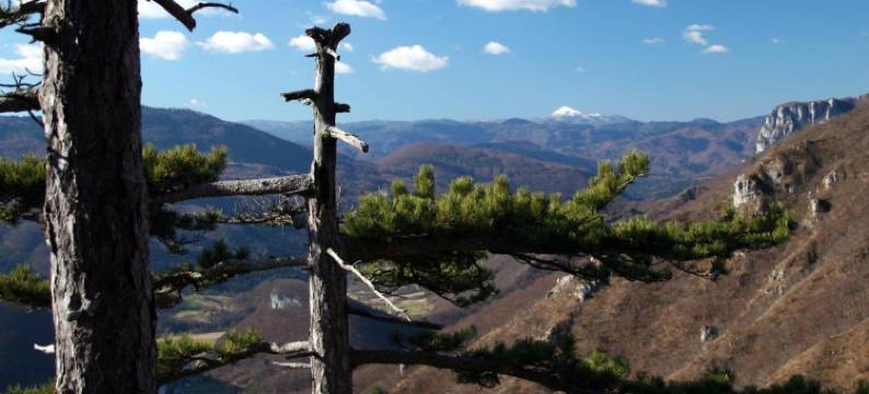 科瓦奇酒店(Hotel Kovac)图片