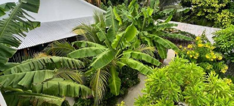 海边的迪古拉(Seaside Dhigurah)图片