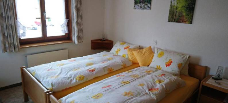 奥克森宾馆(Gasthaus Zum Ochsen)图片