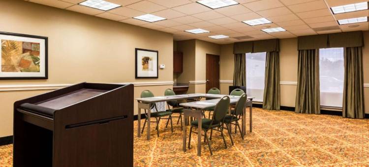 韦斯特彻斯-休斯顿能源走廊舒适套房酒店(Comfort Suites Westchase Houston Energy Corridor)图片