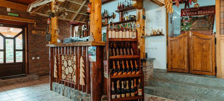 阿尔皮纳布拉吉纳综合观光酒店(Complex Turistic Alpina Blazna Sant)图片