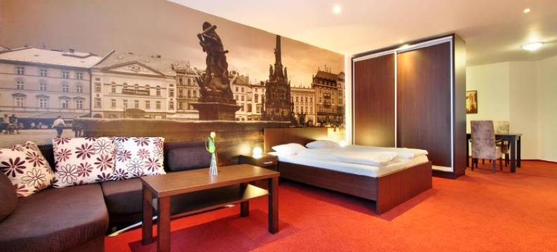 帕拉克酒店(Hotel Palác)图片