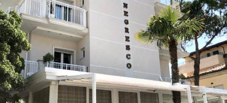 内格雷斯科酒店(Hotel Negresco)图片