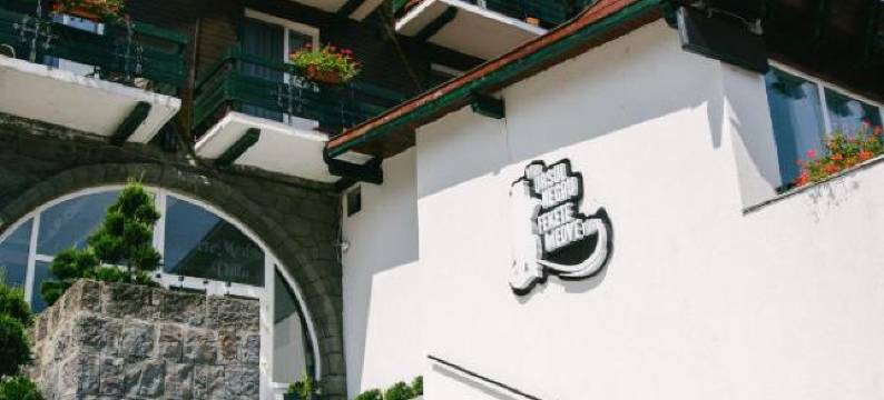 乌苏尔内格鲁别墅(Vila Ursul Negru)图片