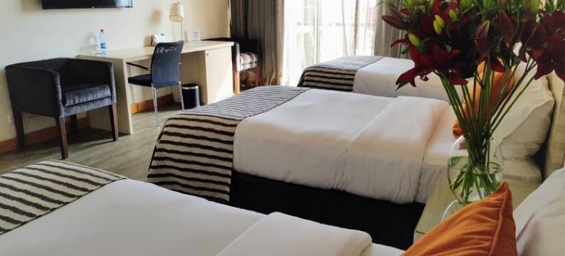 卡斯罗塔尔卡酒店(Hotel Casino Talca)图片