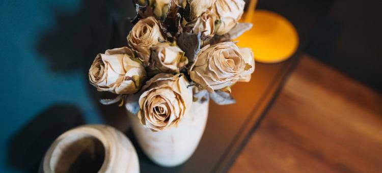 马尔若莱纳 - 客居宅邸(La Marjolaine - Demeure d'Hotes)图片