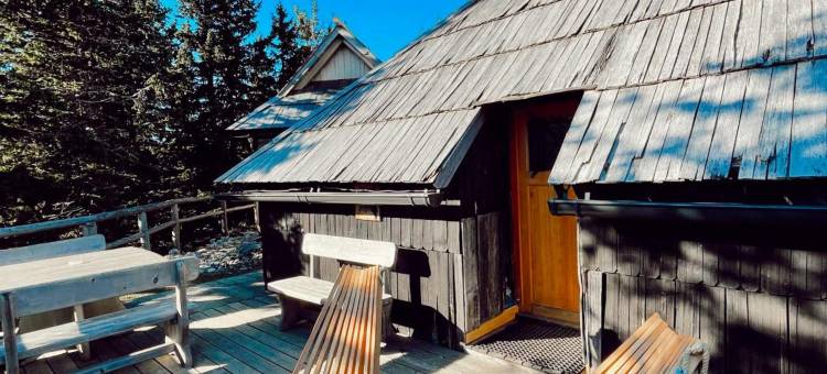 科卡比斯特拉 - 威力卡普拉妮娜饭店(Koča Bistra - Velika Planina)图片