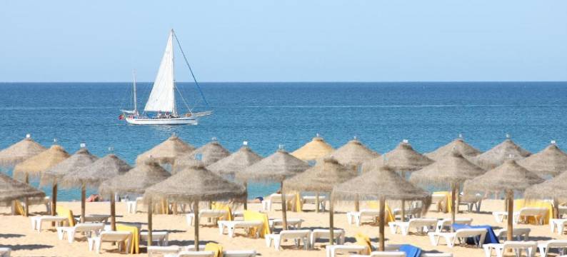 导航者 - 奥林匹斯(The Navigator - Olympus)图片