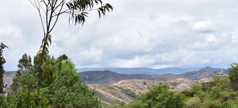 祖奈酒店(Zuna)图片