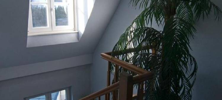 加尼莱雷泰尔酒店(Hotel Garni Lehrertal)图片