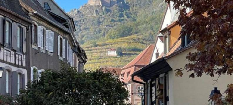 完美公寓(The One Apartments)图片