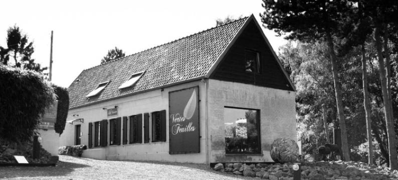 威德弗耶酒店(Vertes Feuilles)图片