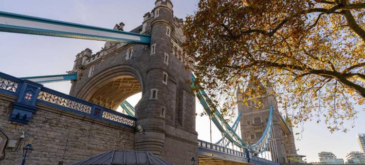 伦敦塔的Bob W(Bob W Tower of London)图片