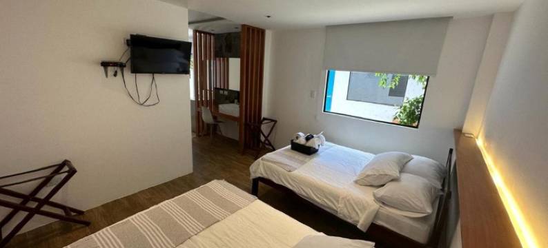 仙人掌酒店(Cactus)图片