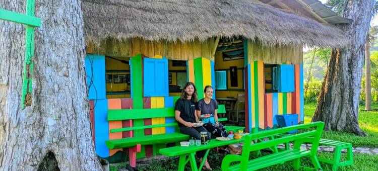 4 Pohon - les 4 Arbres图片