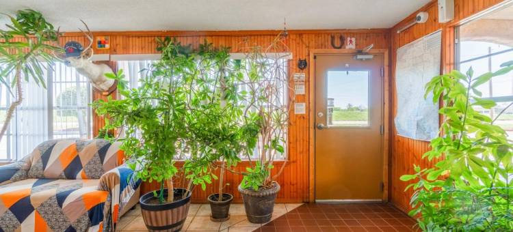 OYO 维农德州287号公路孤星旅馆(Lone Star Inn by OYO Vernon Texas Hwy 287)图片