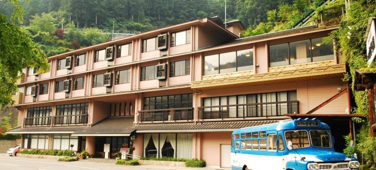 汤元新祖谷温泉蔓桥酒店(Hotel Kazurabashi)图片