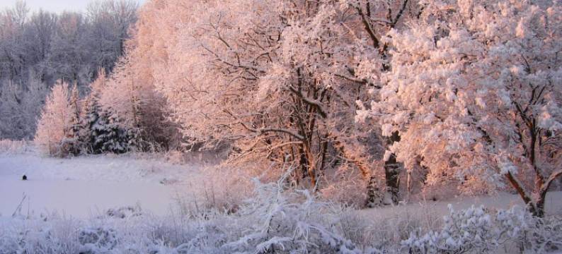 黑达花园住宿加早餐旅馆(Heddahgaarden)图片