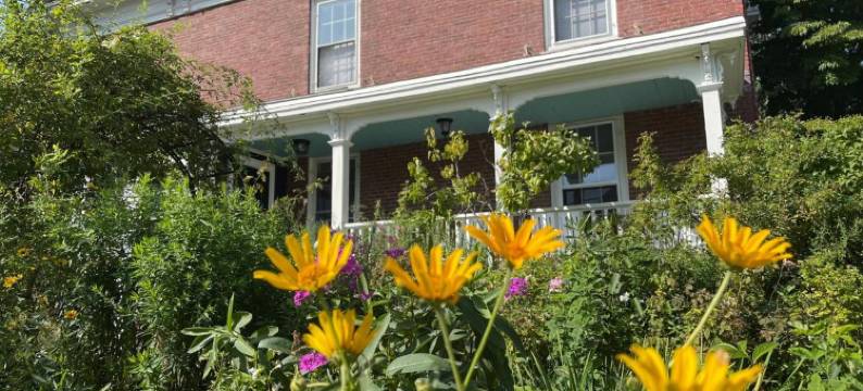 水街旅馆(The Water Street Inn)图片