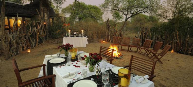 丁斯瓦洛野生动物园(Tintswalo Safari)图片