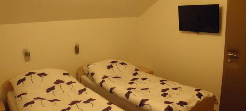 Hotel and Restaurant Ana图片