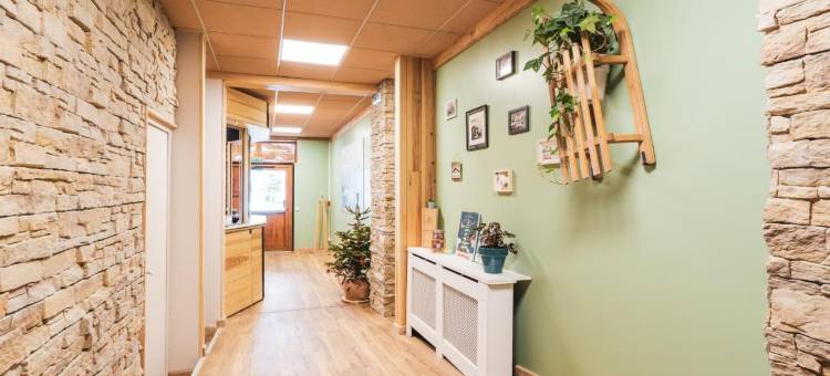 小精灵酒店(Hotel les Lutins)图片