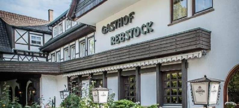 兰特霍特尔雷布斯托克(Landhotel Rebstock)图片