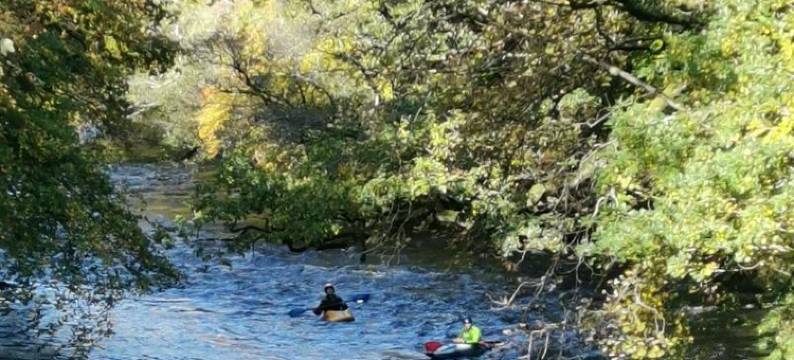 夫尔泽勒赫磨坊旅馆(Furzeleigh Mill)图片