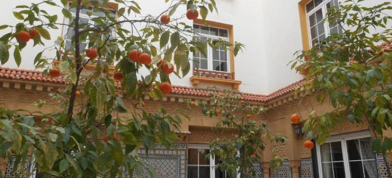 纳多尔住宿加早餐旅馆(Dar Nador)图片