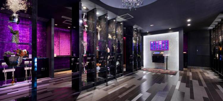 快乐亲吻酒店 - 限成人(Happy Kiss (Adult Only))图片