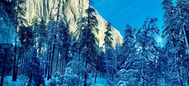 风景优美的木屋温泉 by Casa Oso(Scenic View Timber Lodge HotTub by Casa Oso)图片