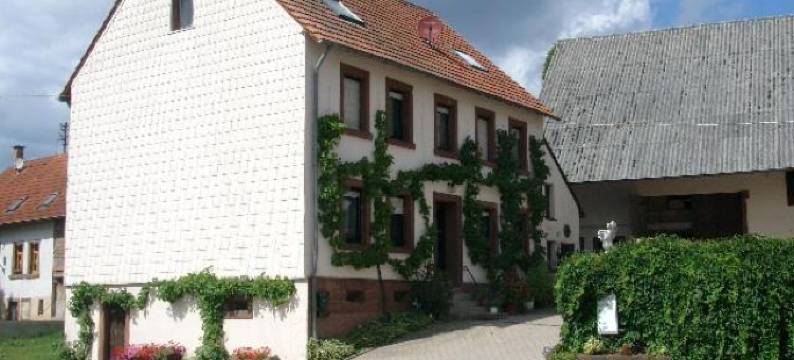 公寓(Zucht- Und Ausbildungsstall Rubly)图片