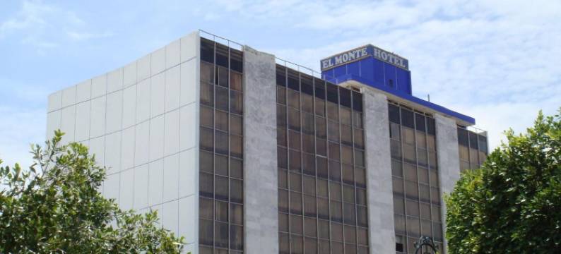 蒙提酒店(Hotel El Monte)图片