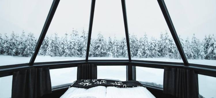 北光村庇护(Northern Lights Village Pyhä)图片