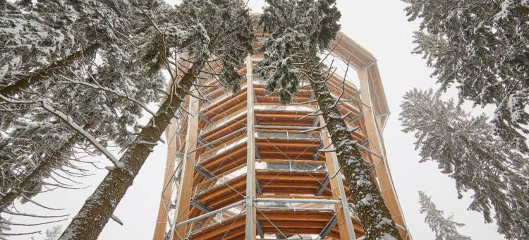 乌帕河畔斯沃博达滑雪酒店(Ski Hotel Svoboda Nad Úpou)图片