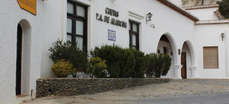 阿拉尔孔佩德罗安东尼奥岩洞酒店(Cuevas Pedro Antonio de Alarcon)图片