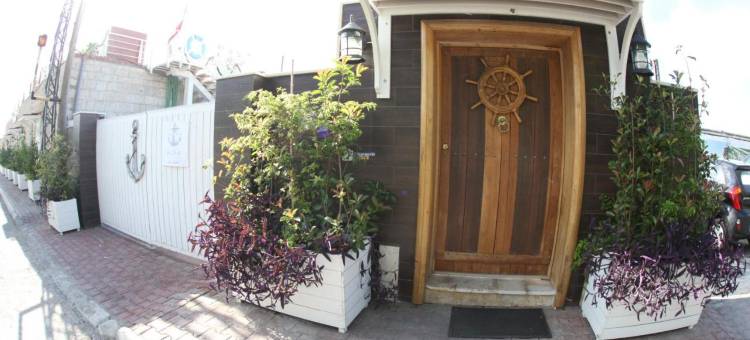 蓝色白色(Le Blanc Bleu)图片