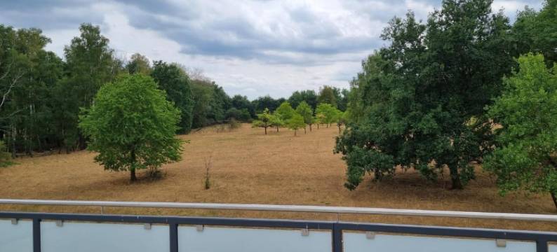 帕萨天堂酒店(Hotel Pasa Paradies Kostenlose PARKPLÄTZE)图片