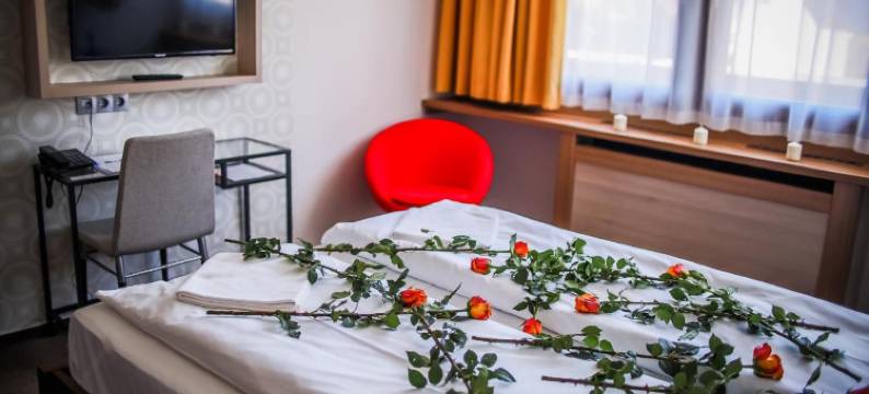 伊莫拉乌德法尔哈兹酒店(Imola Udvarház Dessert Hotel)图片