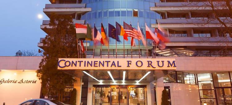 阿拉德大陆酒店(Continental Forum Arad)图片