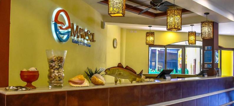 海洋与太阳酒店及餐厅(Mar & Sol, Hotel y Resturante)图片