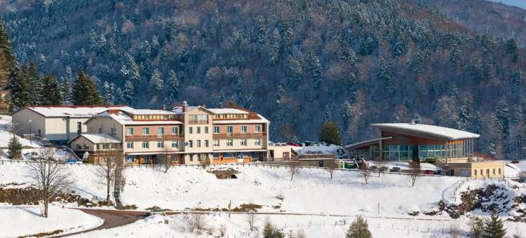 比桑爱瑞瓦度假酒店(Azureva Bussang)图片