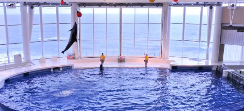 胜田Terrace Inn酒店(Terrace Inn Katsuta)图片